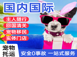 青山航空快递国际宠物托运 【国